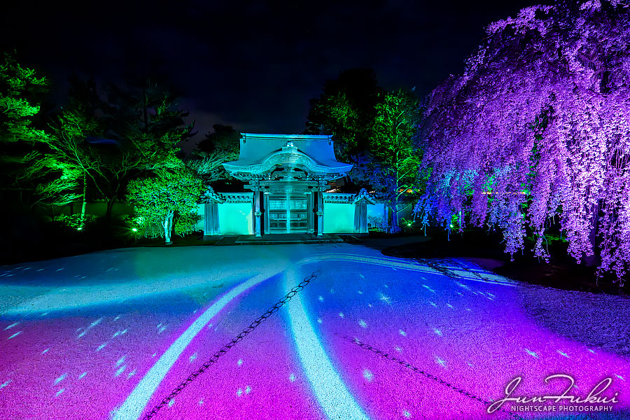 高台寺 ナイトスケープ