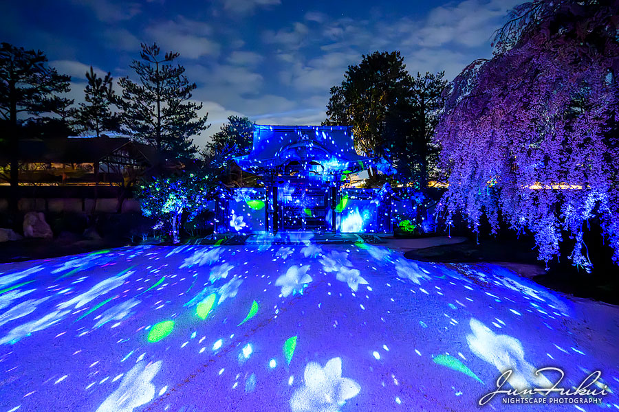 高台寺 ナイトスケープ