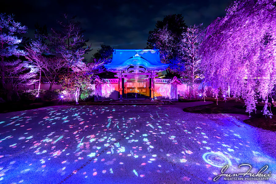高台寺 ナイトスケープ