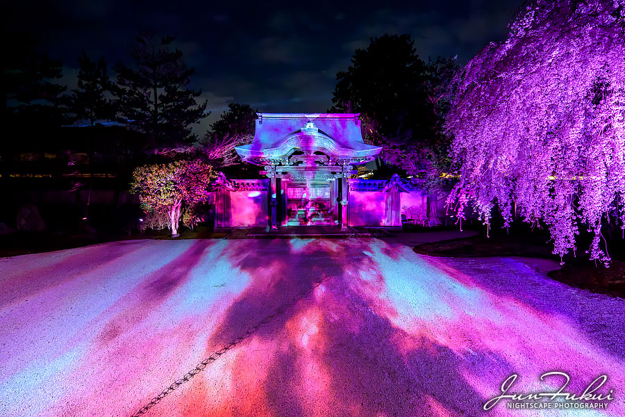 高台寺 ナイトスケープ