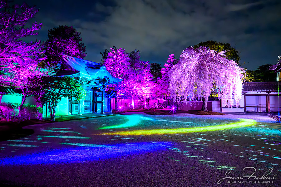 高台寺 ナイトスケープ
