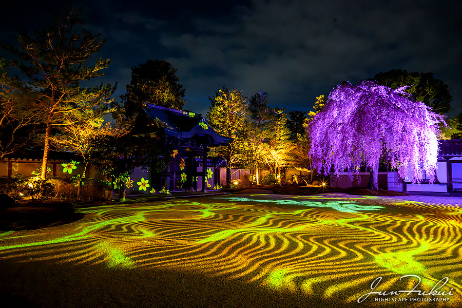 高台寺 ナイトスケープ