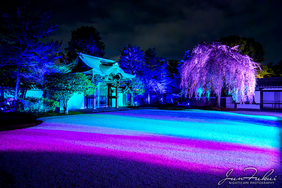 高台寺 ナイトスケープ