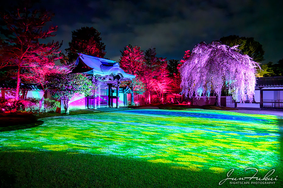 高台寺 ナイトスケープ
