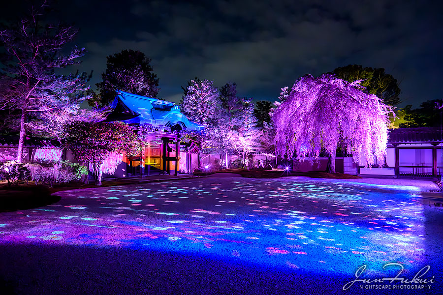 高台寺 ナイトスケープ