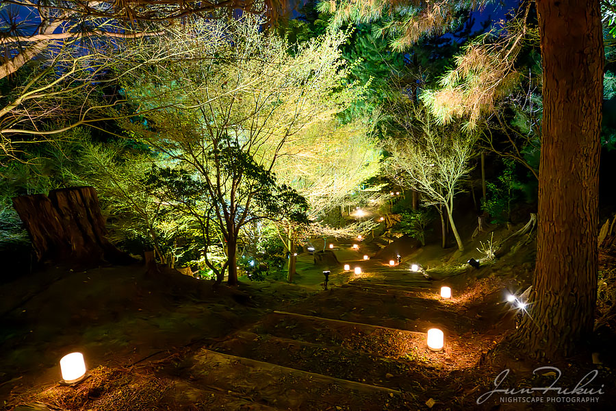 高台寺 ナイトスケープ