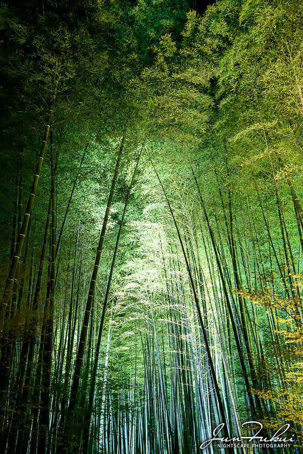高台寺 ナイトスケープ