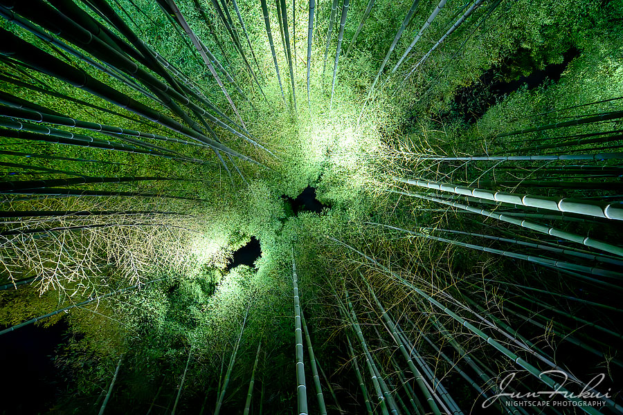 高台寺 ナイトスケープ