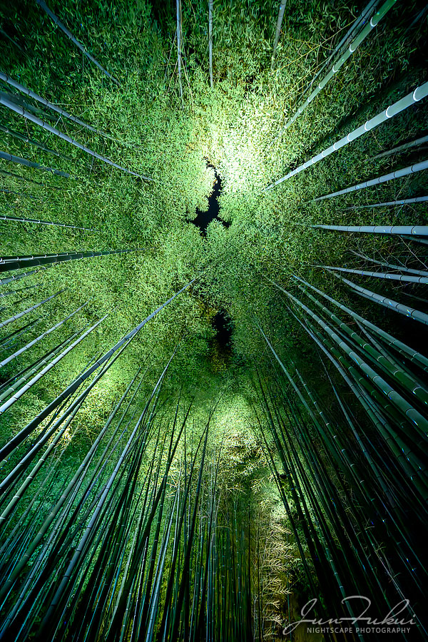 高台寺 ナイトスケープ