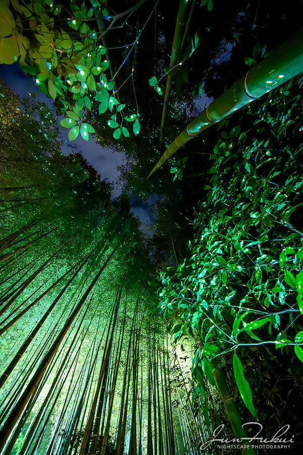高台寺 ナイトスケープ