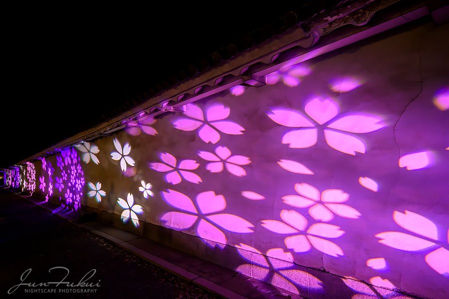 二条城 ナイトスケープ