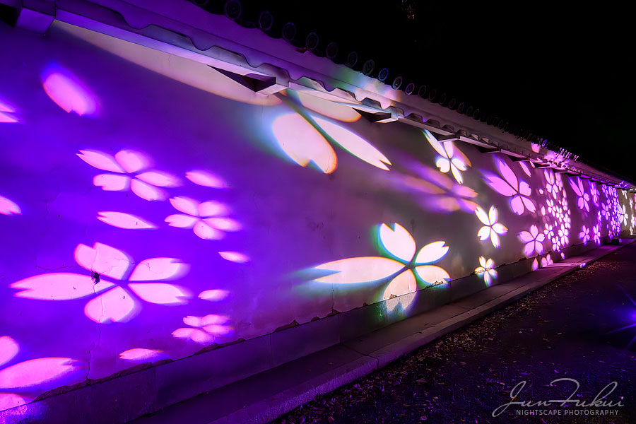 二条城 ナイトスケープ