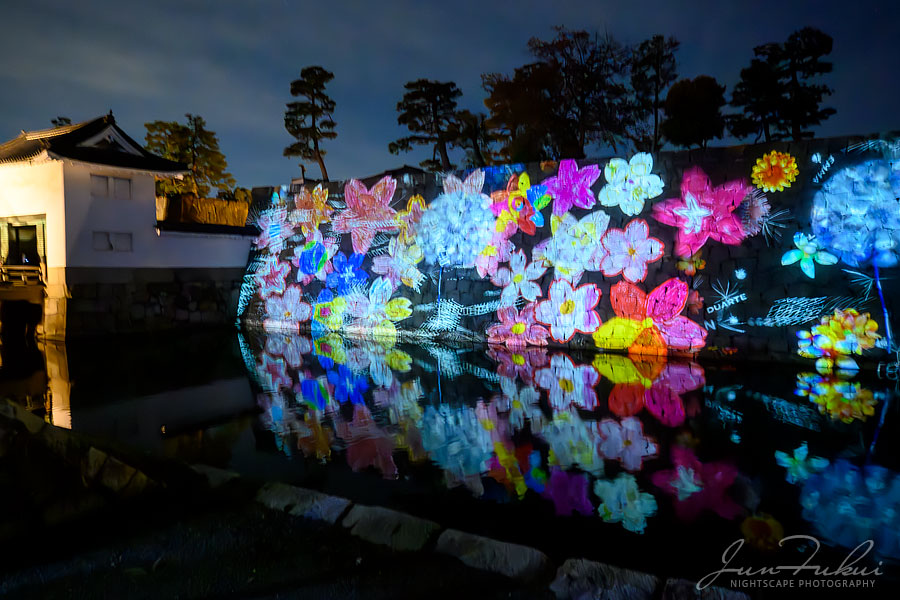 二条城 ナイトスケープ