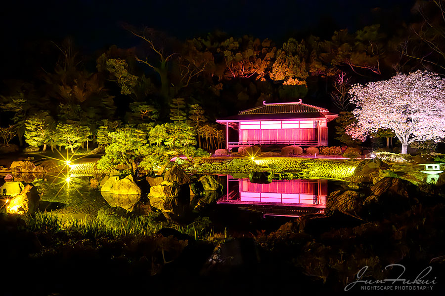 二条城 ナイトスケープ