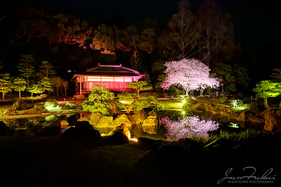 二条城 ナイトスケープ