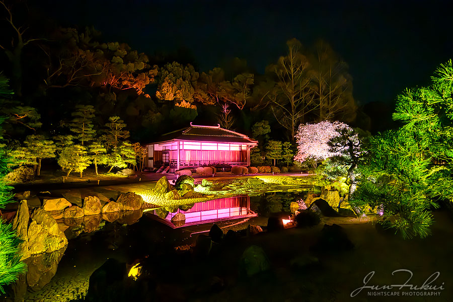 二条城 ナイトスケープ