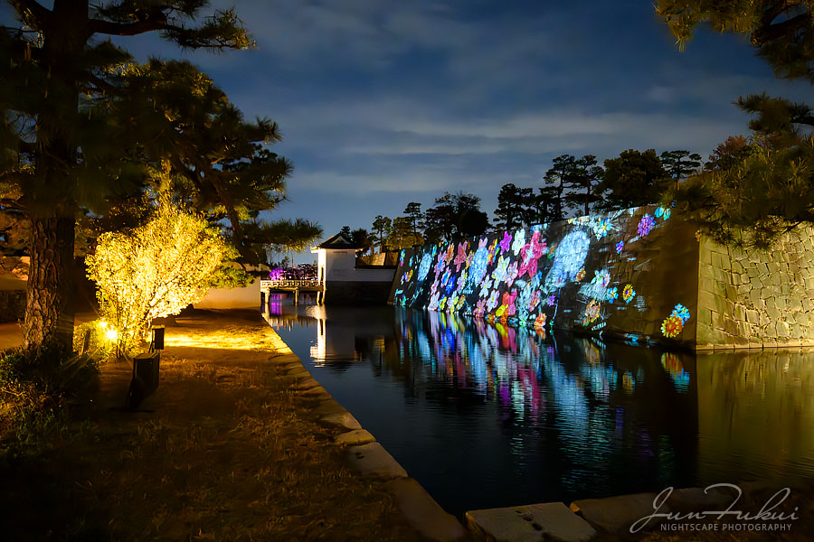 二条城 ナイトスケープ