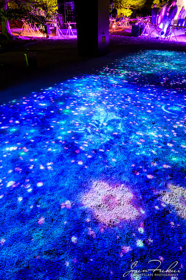 二条城 ナイトスケープ