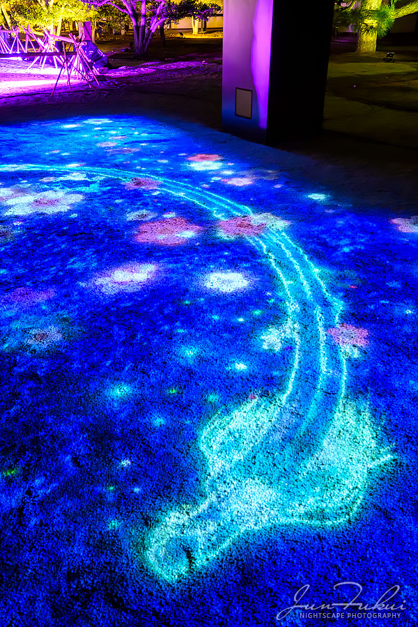 二条城 ナイトスケープ