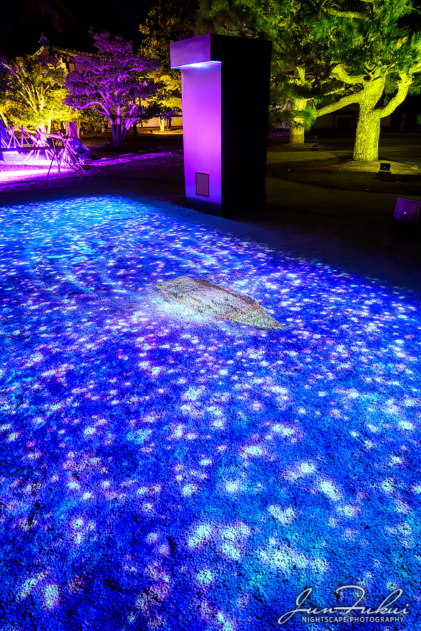 二条城 ナイトスケープ