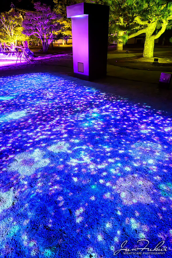 二条城 ナイトスケープ