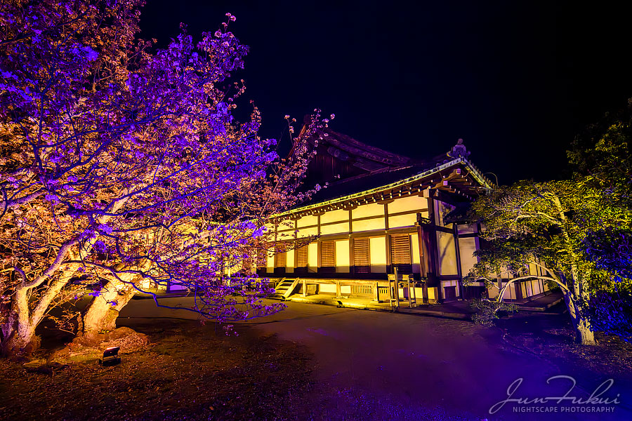 二条城 ナイトスケープ