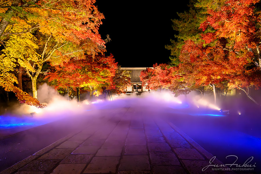 仁和寺 ナイトスケープ