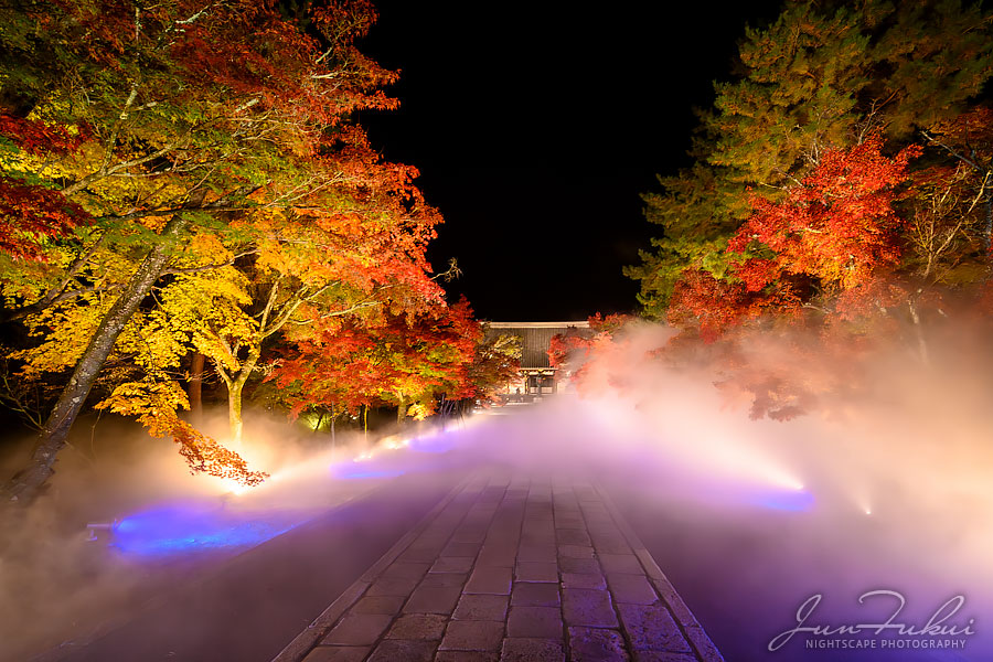 仁和寺 ナイトスケープ