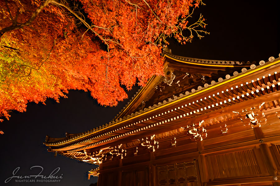 仁和寺 ナイトスケープ