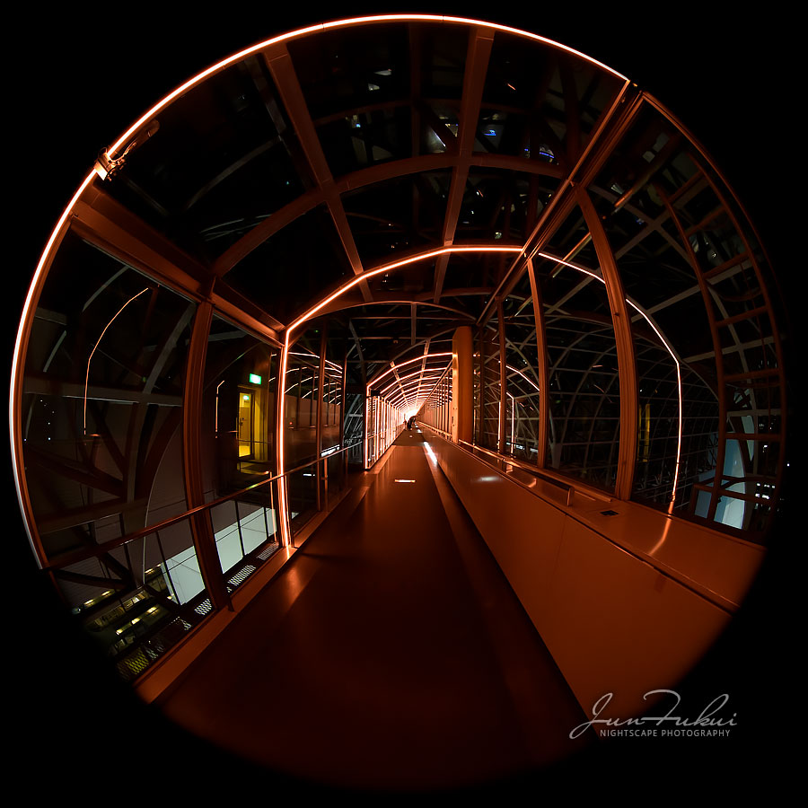 京都駅ビル イルミネーション