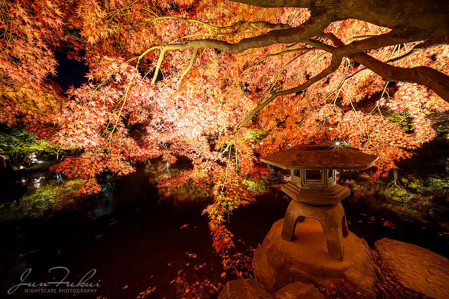 東寺 ナイトスケープ