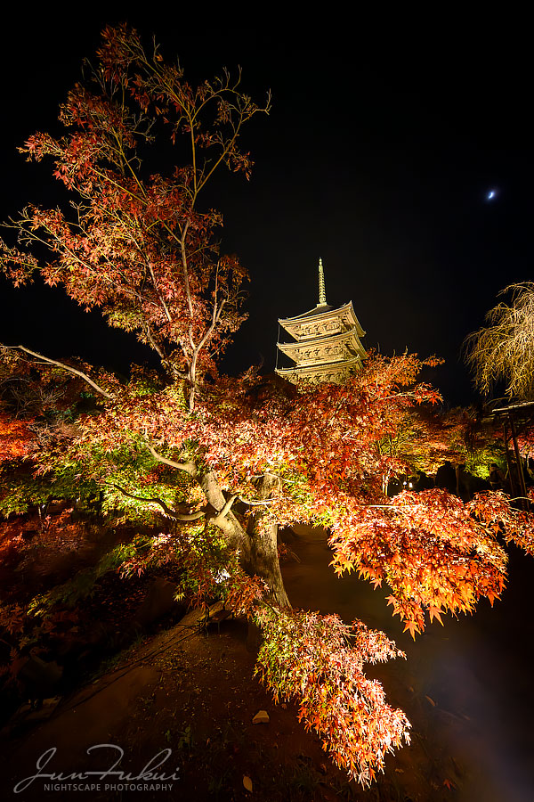 東寺 ナイトスケープ