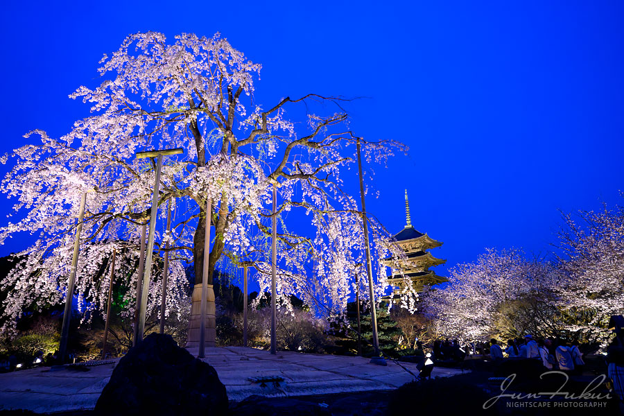 東寺 ナイトスケープ
