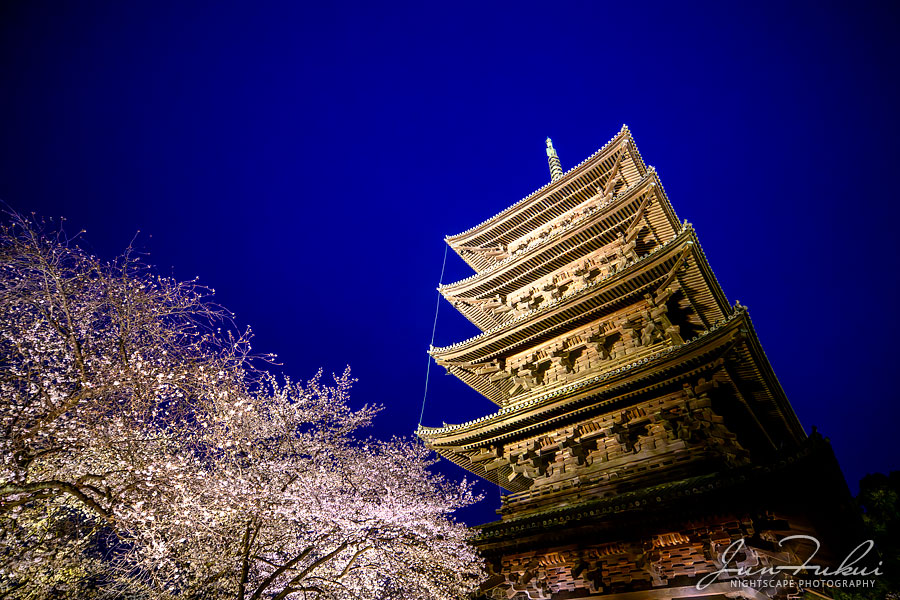 東寺 ナイトスケープ