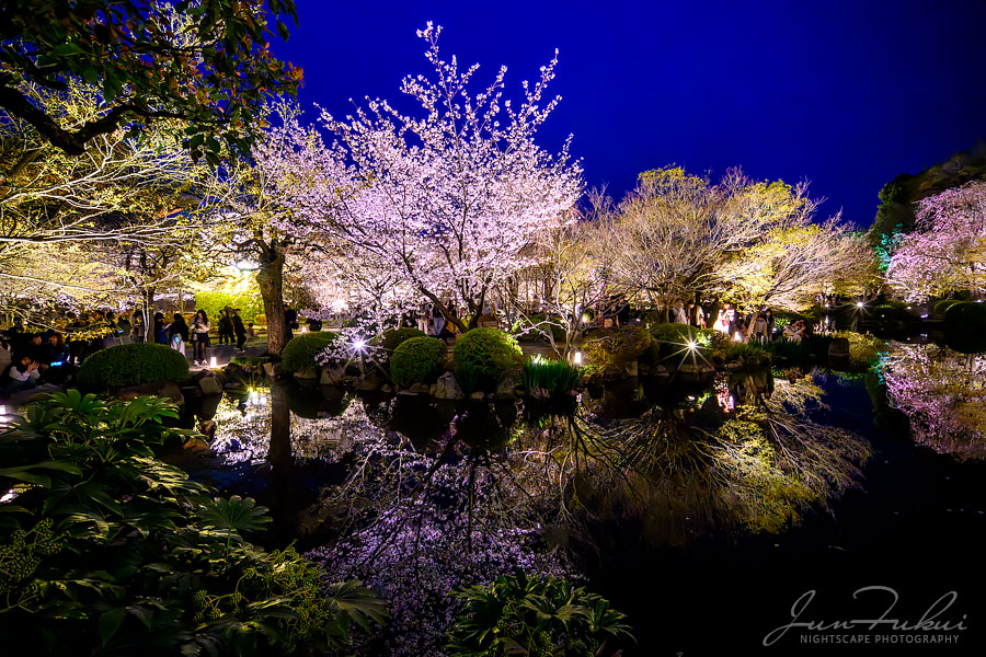 東寺 ナイトスケープ