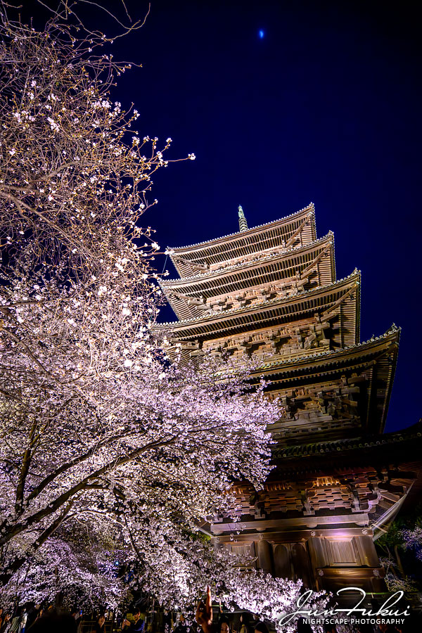 東寺 ナイトスケープ