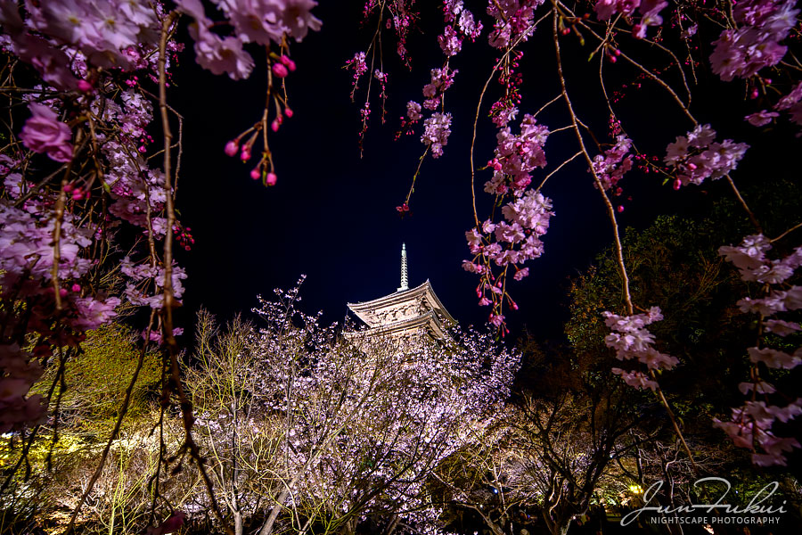 東寺 ナイトスケープ