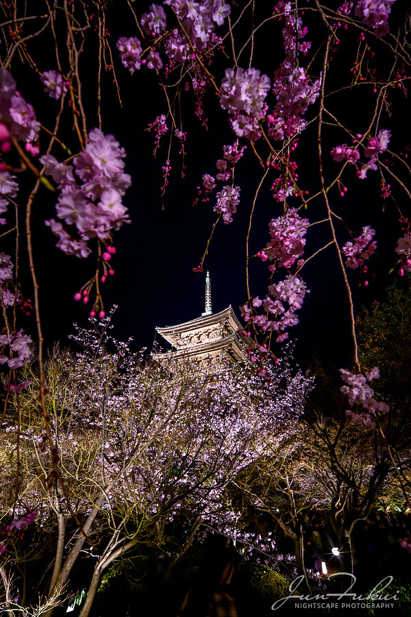 東寺 ナイトスケープ