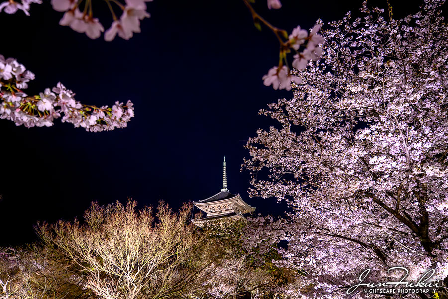 東寺 ナイトスケープ