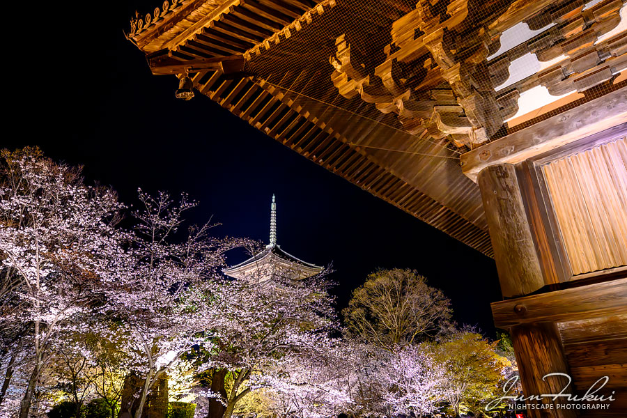 東寺 ナイトスケープ