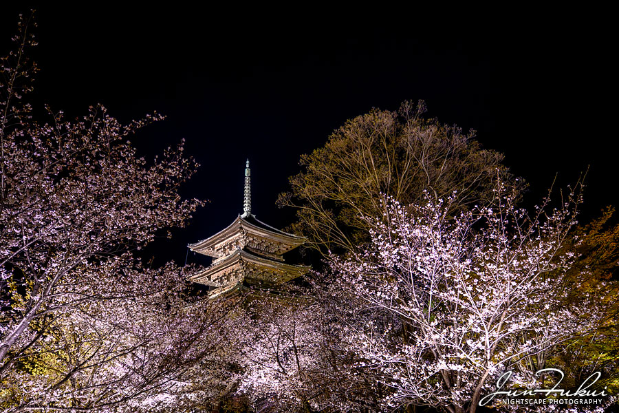 東寺 ナイトスケープ