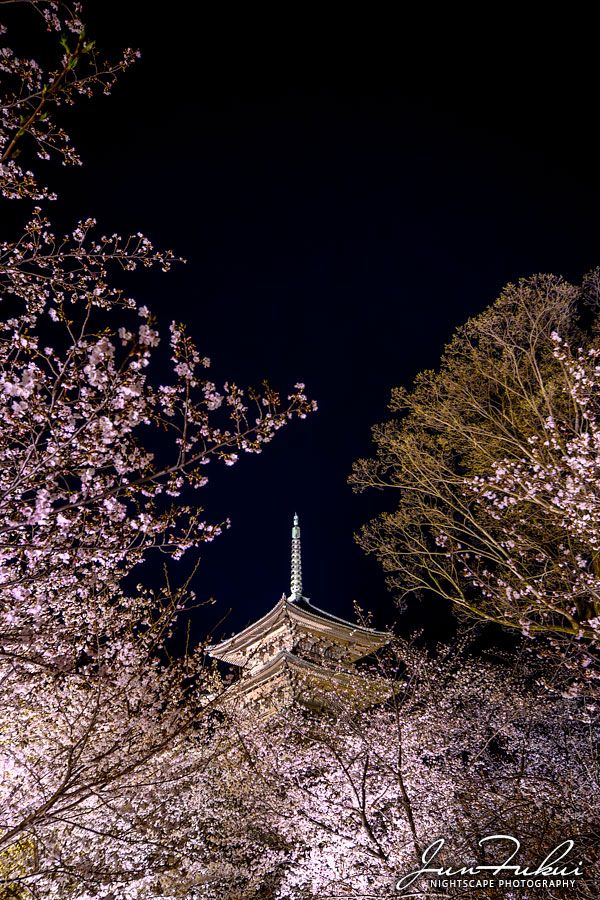東寺 ナイトスケープ
