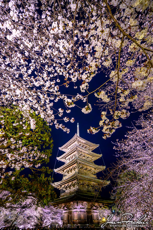 東寺 ナイトスケープ