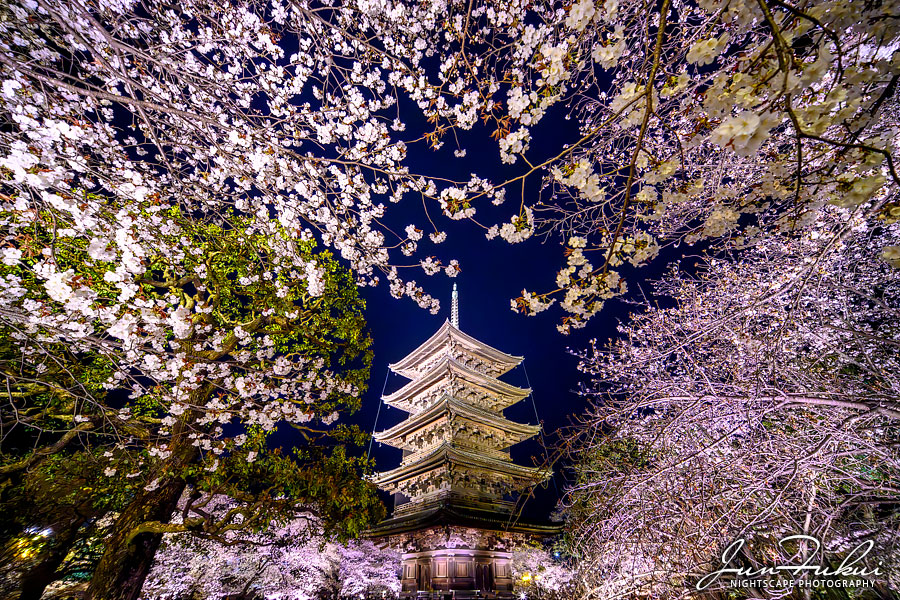 東寺 ナイトスケープ