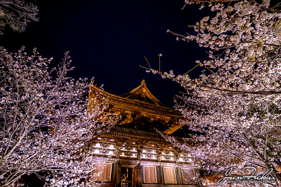 東寺 ナイトスケープ