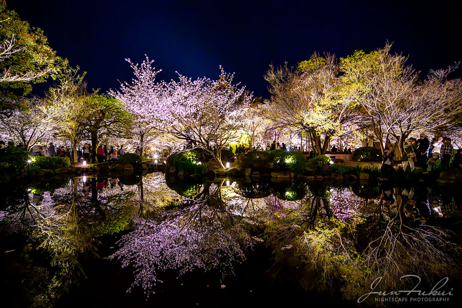 東寺 ナイトスケープ