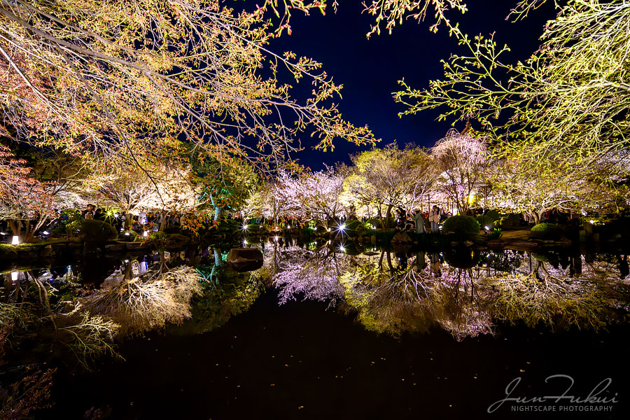 東寺 ナイトスケープ
