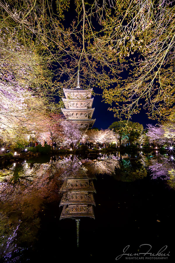 東寺 ナイトスケープ