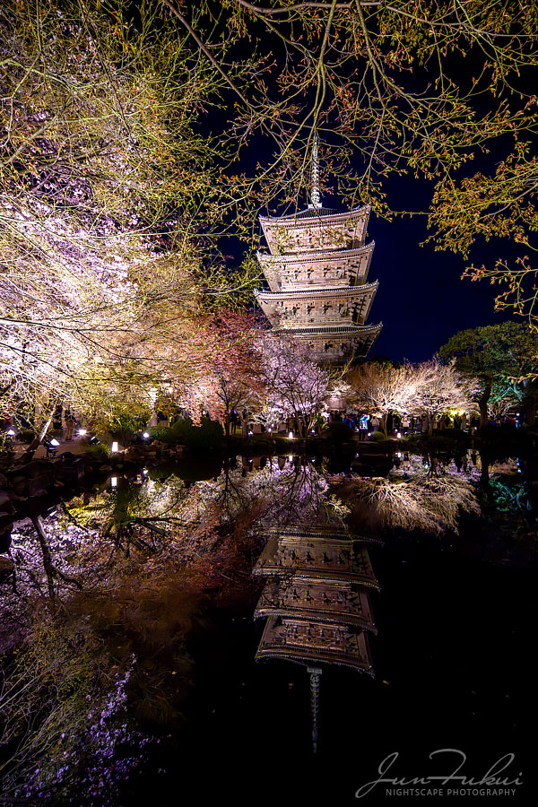 東寺 ナイトスケープ