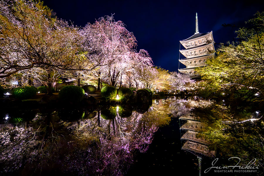 東寺 ナイトスケープ
